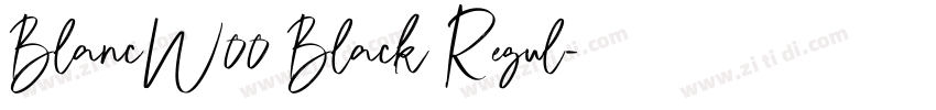 BlancW00 Black Regul字体转换 BlancW00 Black Regul字体转换